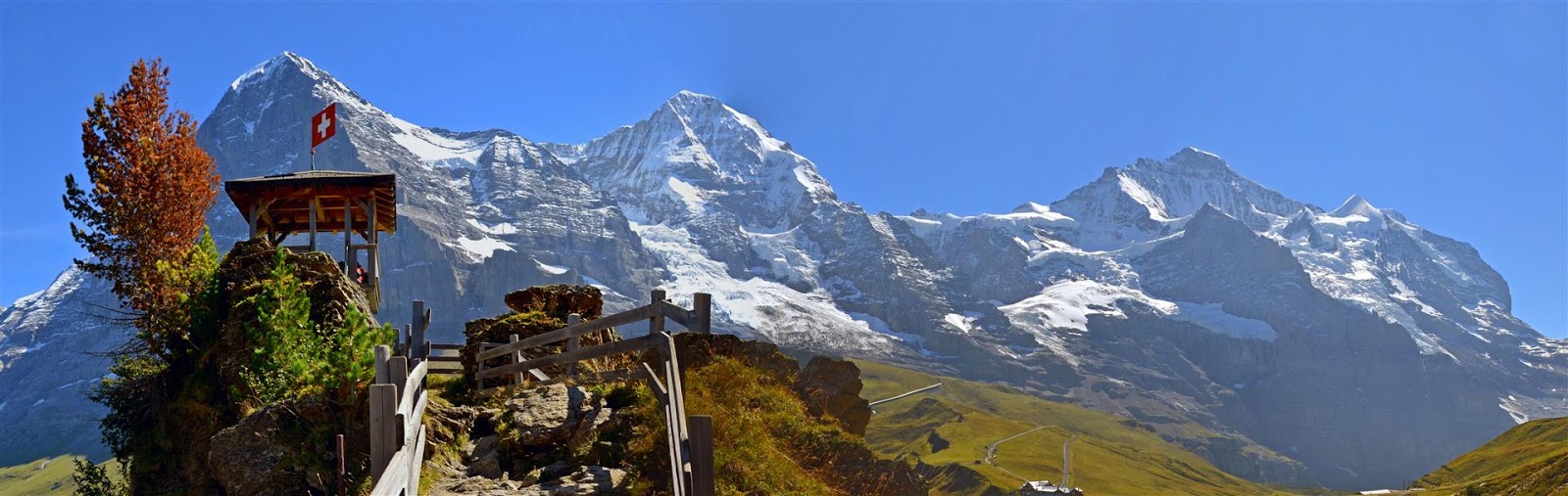 Alpine Panorama